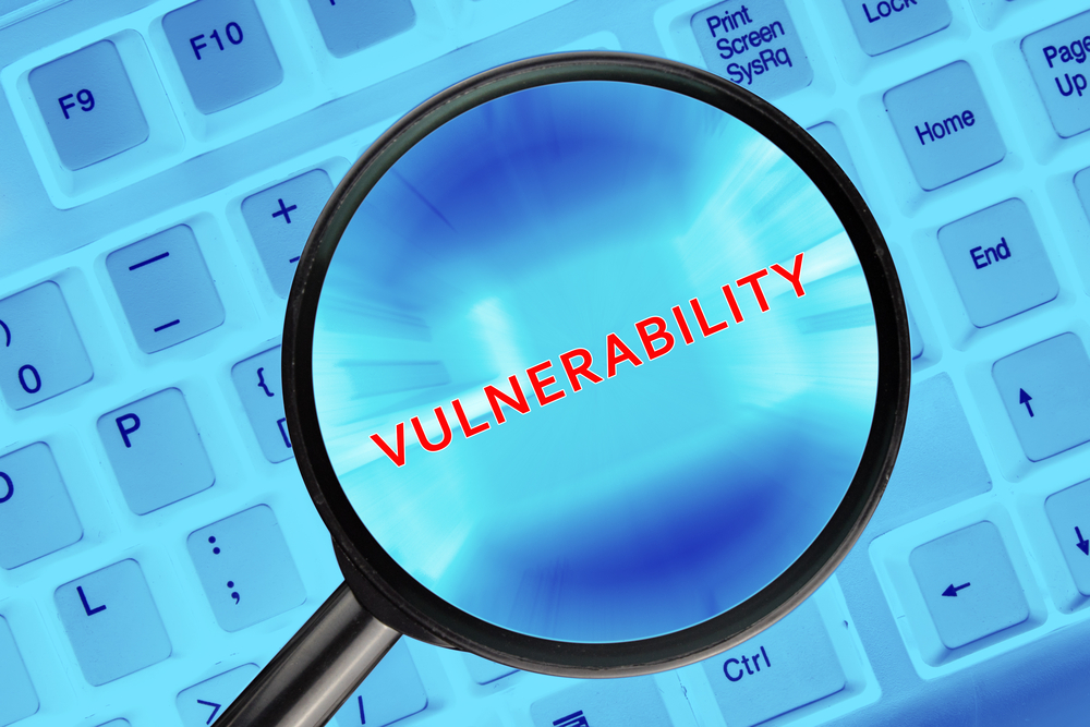 Vulnerability Analysis